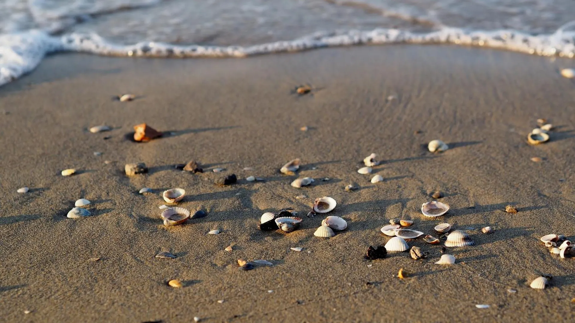 Apartment Comfy Seaside Flat Ideal For 4 Guests - Beahost Bibione Italy